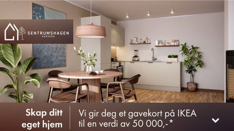 Bilde 1 av annonsen