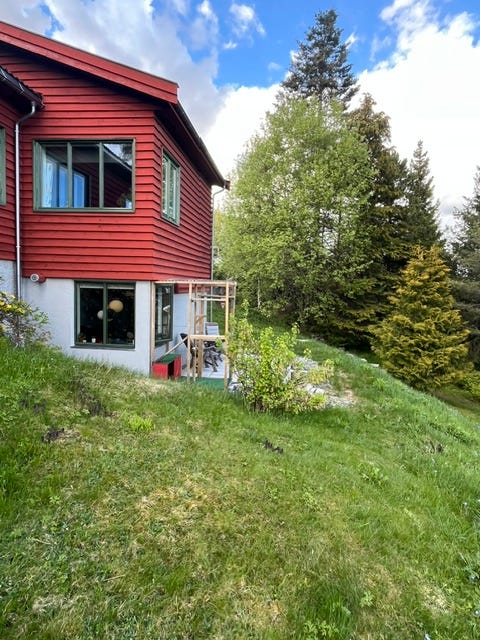 Bilde 1 av annonsen
