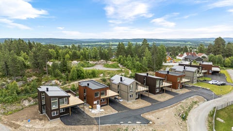 Bilde 1 av annonsen
