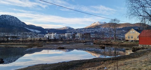 Bilde 1 av annonsen