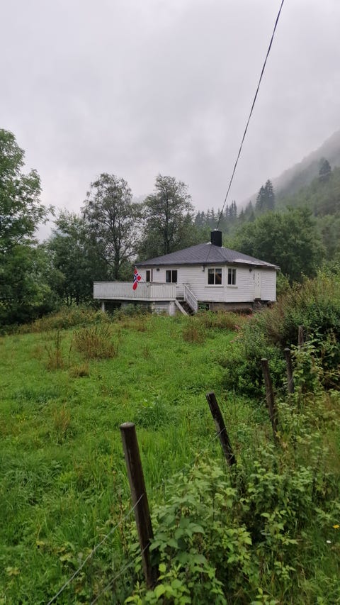 Bilde 1 av annonsen