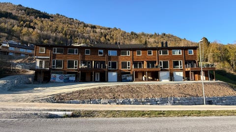 Bilde 1 av annonsen
