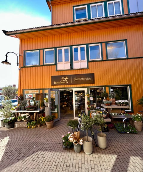 Bilde 1 av annonsen
