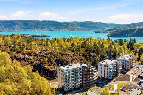 Bilde 1 av annonsen