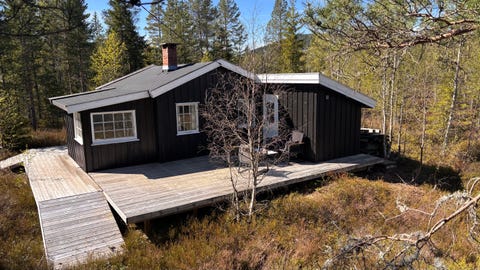 Bilde 1 av annonsen