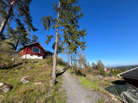 Bilde 1 av annonsen