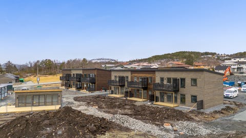Bilde 1 av annonsen