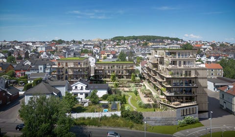 Bilde 1 av annonsen
