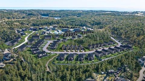 Bilde 1 av annonsen