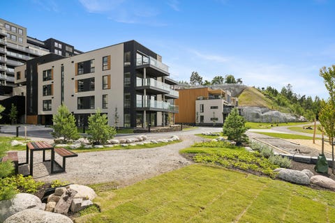 Bilde 1 av annonsen