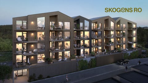 Bilde 1 av annonsen