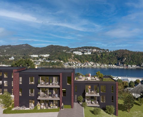 Bilde 2 av annonsen