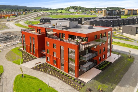 Bilde 1 av annonsen