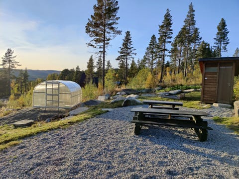 Bilde 2 av annonsen