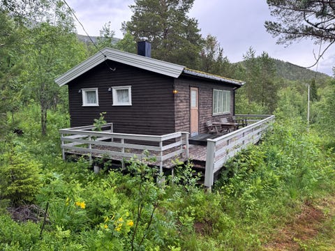 Bilde 2 av annonsen