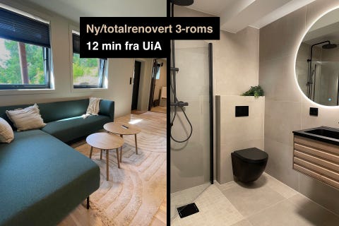 Bilde 1 av annonsen