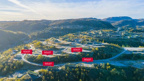 Bilde 2 av annonsen