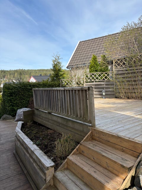 Bilde 1 av annonsen