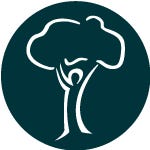 Det norske Skogselskap (DnS) logo