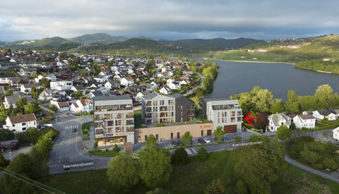 Bilde 1 av annonsen