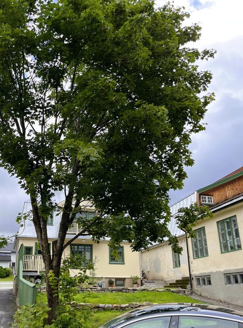 Bilde 2 av annonsen