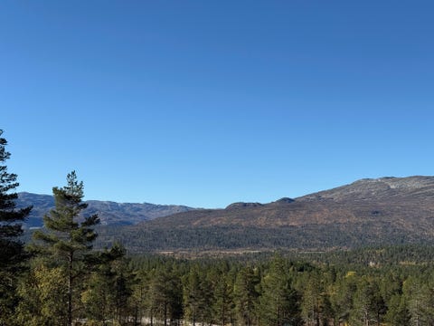 Bilde 2 av annonsen