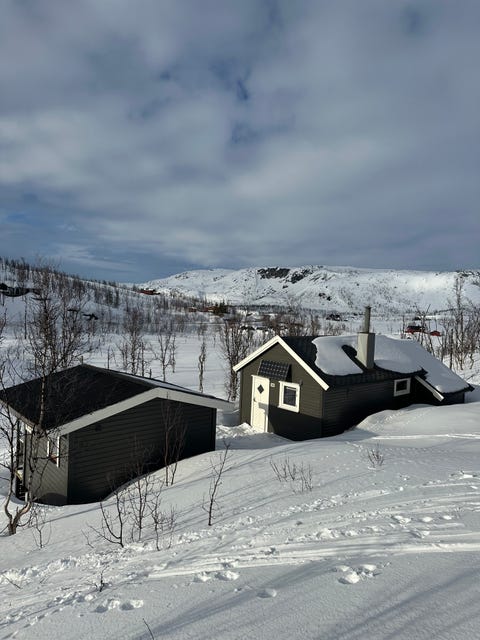 Bilde 1 av annonsen