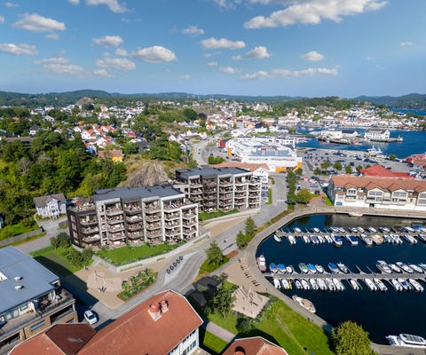 Bilde 1 av annonsen