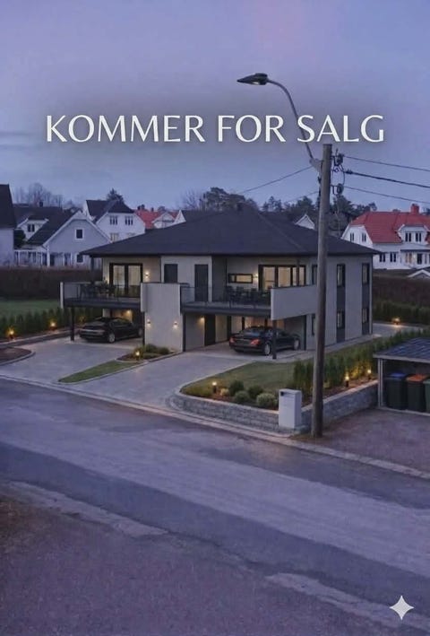 Bilde 1 av annonsen