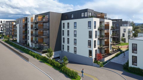Bilde 1 av annonsen