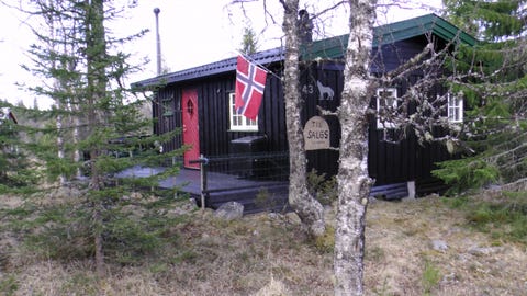 Bilde 2 av annonsen