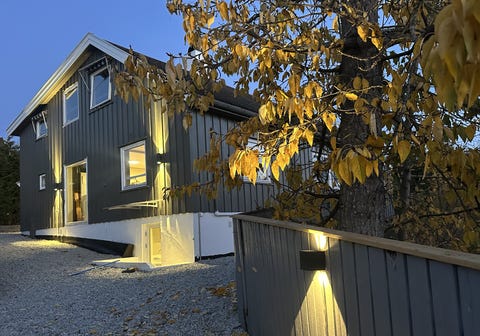 Bilde 1 av annonsen
