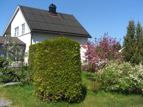Bilde 1 av annonsen