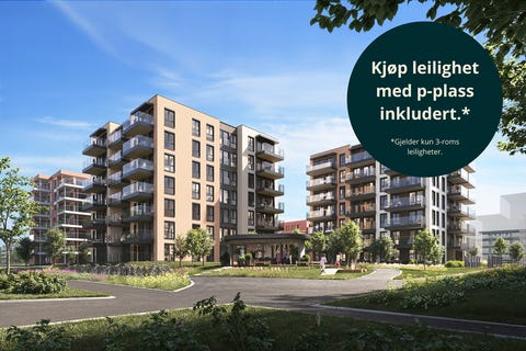 Bilde 1 av annonsen