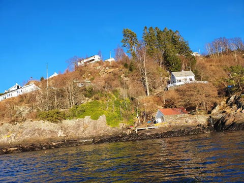 Bilde 2 av annonsen