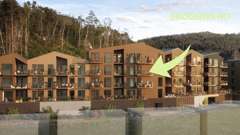 Bilde 1 av annonsen
