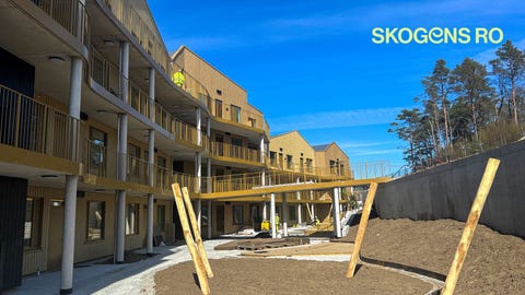 Bilde 2 av annonsen