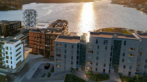 Bilde 1 av annonsen