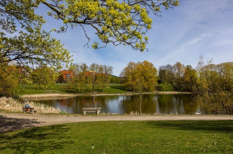 Bilde 2 av annonsen