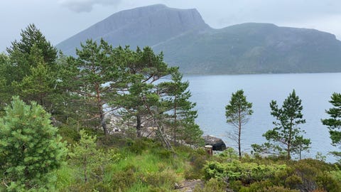 Bilde 1 av annonsen
