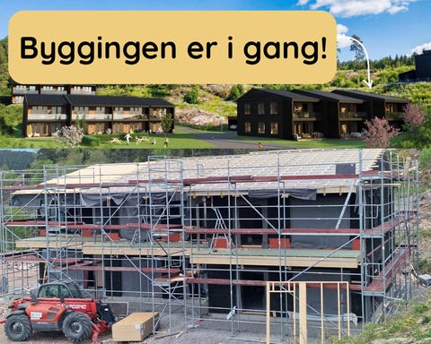 Bilde 2 av annonsen