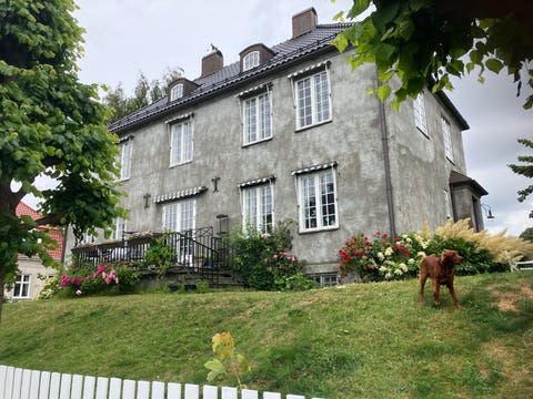 Bilde 1 av annonsen