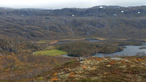 Bilde 1 av annonsen