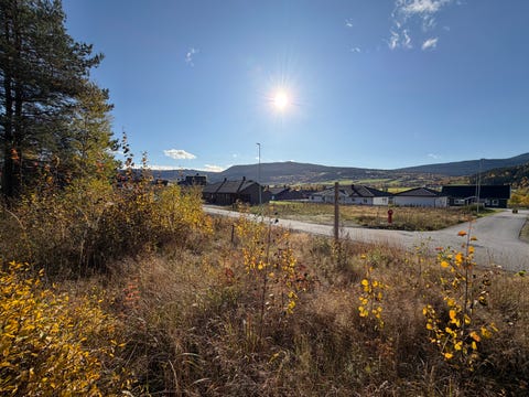 Bilde 2 av annonsen