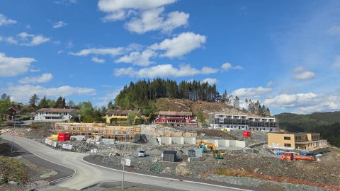 Bilde 2 av annonsen