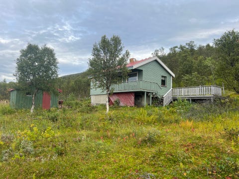 Bilde 2 av annonsen