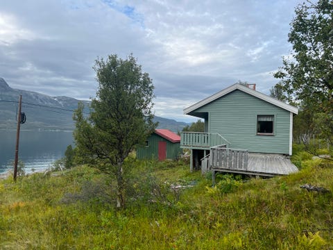 Bilde 1 av annonsen