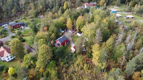 Bilde 1 av annonsen
