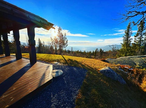 Bilde 1 av annonsen
