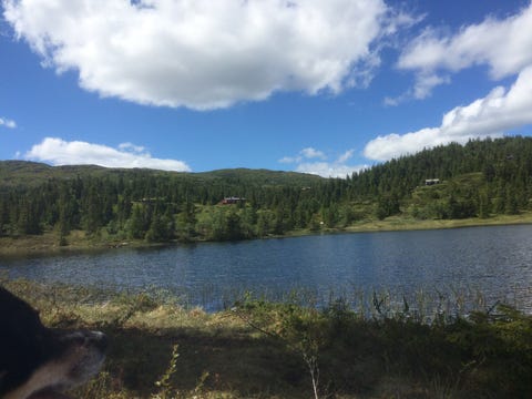 Bilde 1 av annonsen